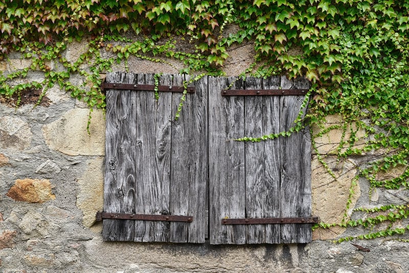 Rustic Vibes